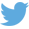 Twitter icon